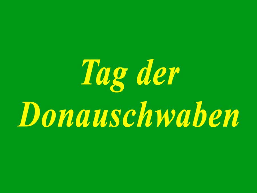 2011.017 - Tag der Donauschwaben - 07-31-2011